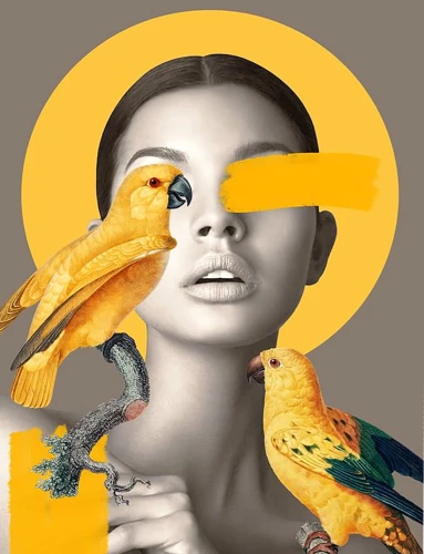 Paint by Numbers - Girl and Parrots