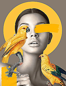 Paint by Numbers - Girl and Parrots