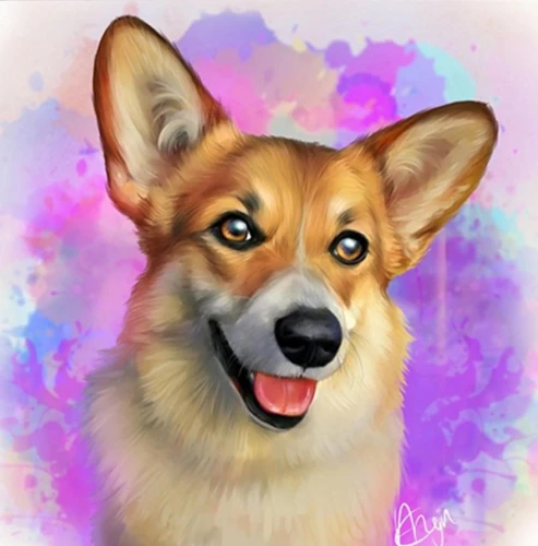 Painting by numbers - Beautiful corgi