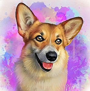 Painting by numbers - Beautiful corgi