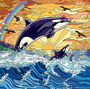 Paint by Numbers - Orcas