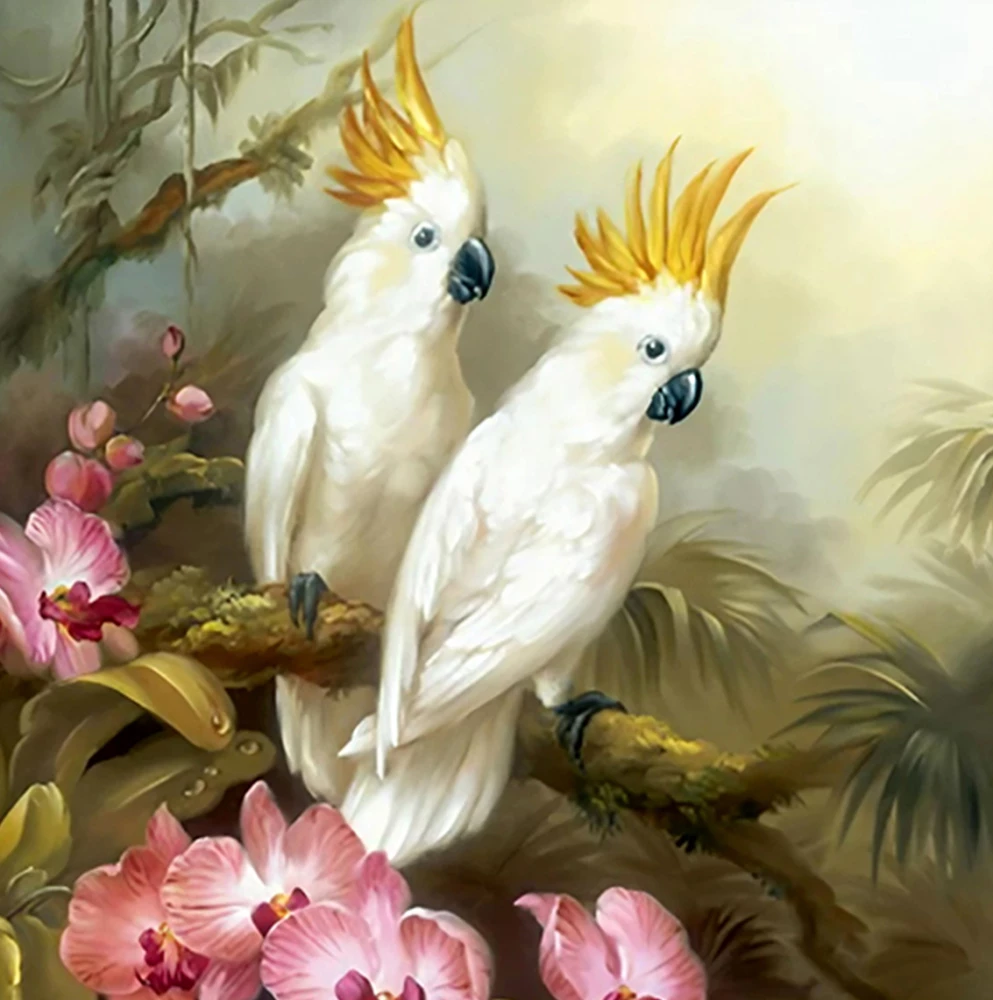 Painting by Numbers - Large Cockatoos