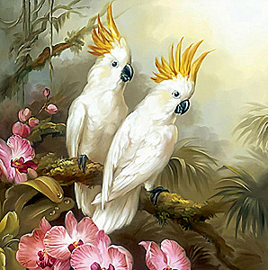 Painting by Numbers - Large Cockatoos