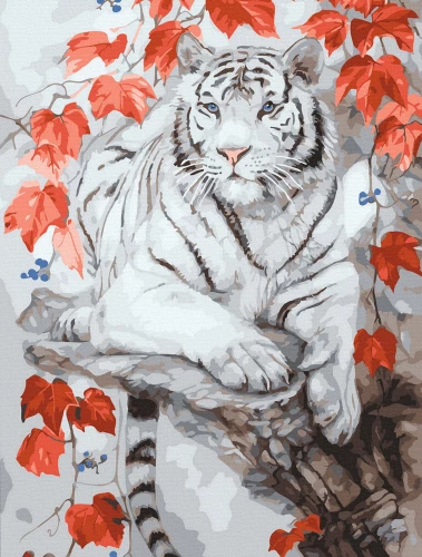 Paint By Numbers - Colorful Canvas. Bengal Tiger