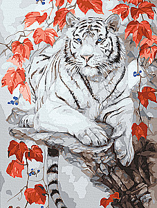 Paint By Numbers - Colorful Canvas. Bengal Tiger