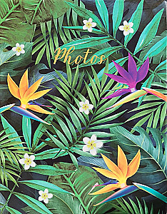 Photo album for 100 photos - Belle fleur. Paradise flower (10x15)