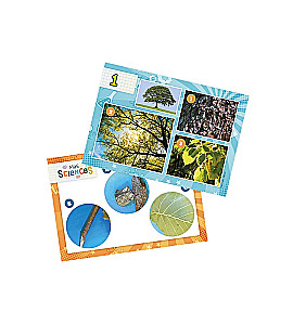 Children's Microscope, Mini Sciences