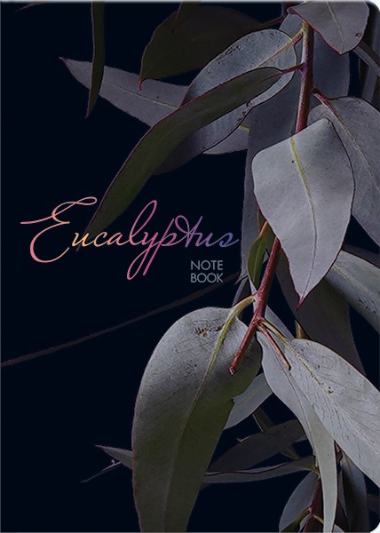 A5 Eucalyptus märkmik