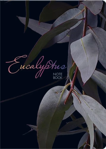 Notebook A5 Eucalyptus