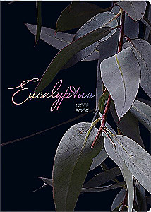 Notebook A5 Eucalyptus