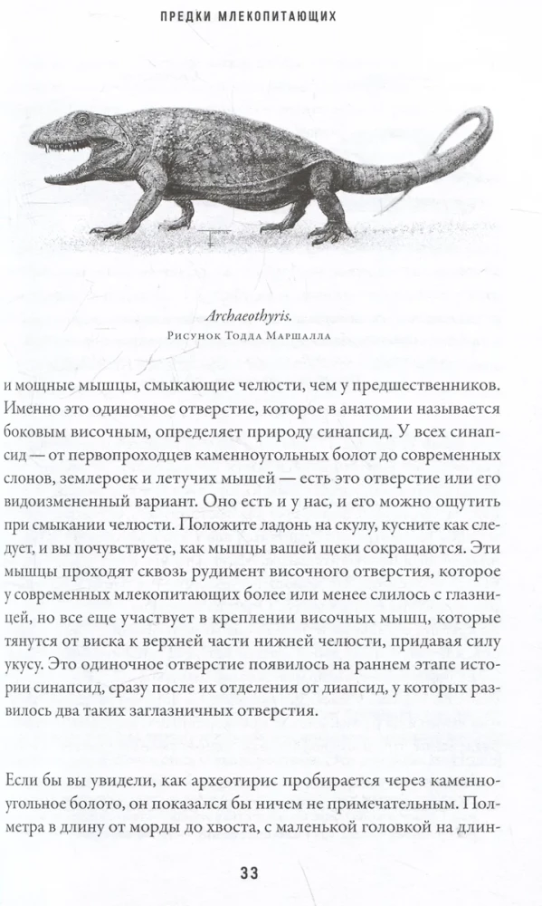 Imetajate ajastu. Dino sauruste varjust maailmavalitsemisse