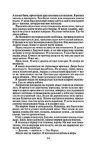 Kroniki Amberu. Tom 2