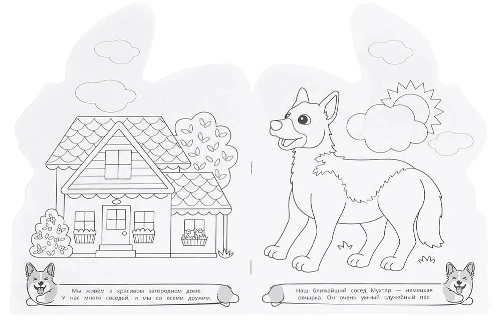 Corgis and Company