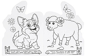 Corgis and Company