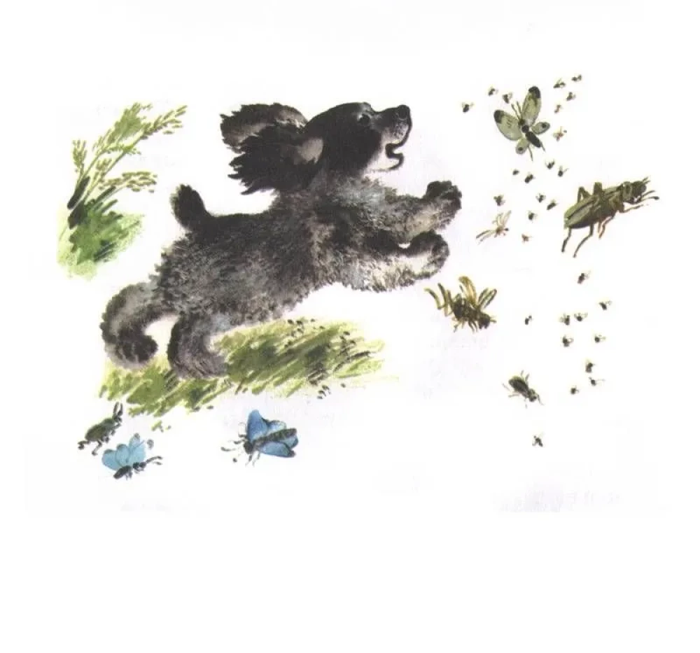 Tyupa, Tomka and the Magpie