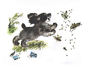 Tyupa, Tomka and the Magpie