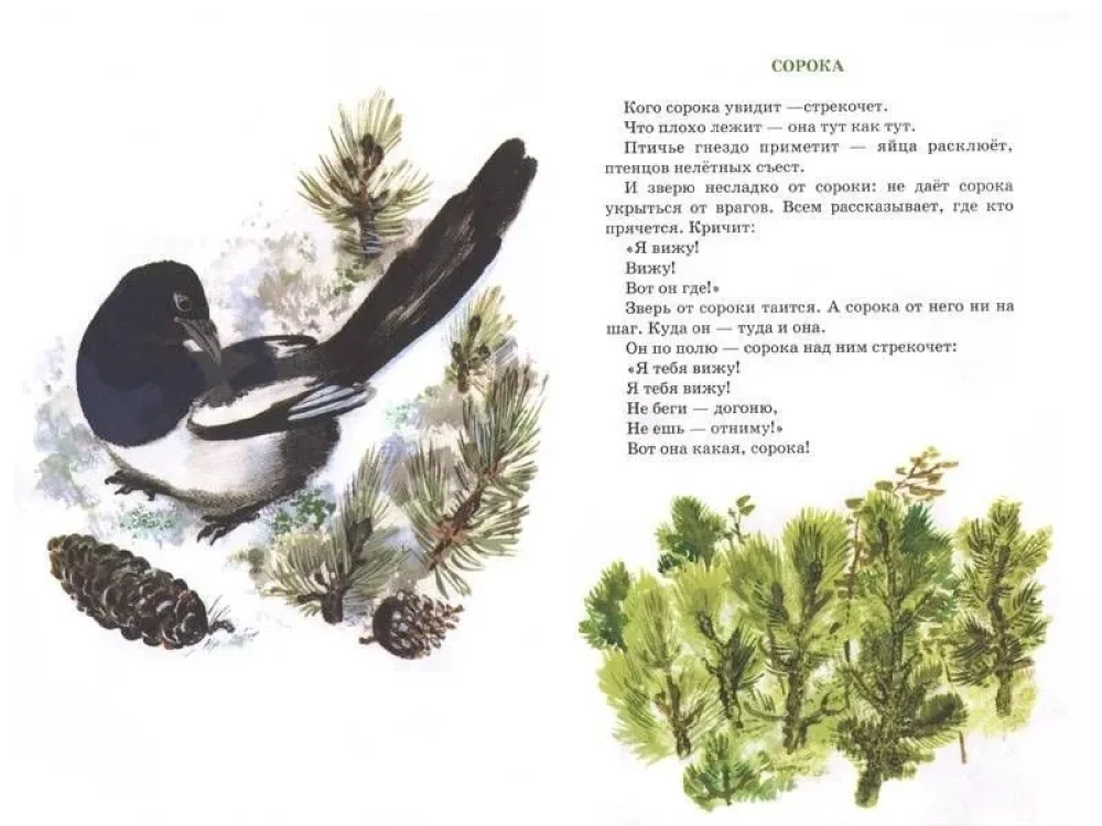 Tyupa, Tomka and the Magpie