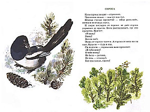 Tyupa, Tomka and the Magpie