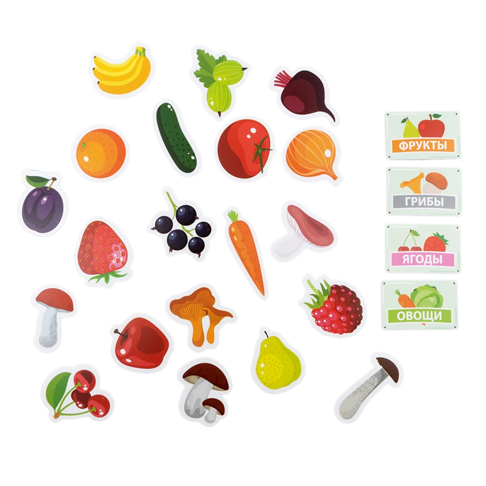 Plastic with Velcro - Fruits, Vegetables, Berries, Mushrooms (A4 envelope)