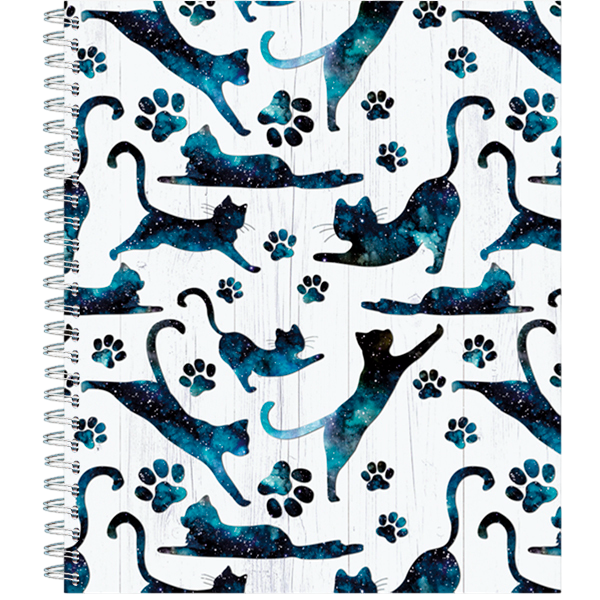 Zeszyt ogólny - Kosmiczne koty (4 wzory)