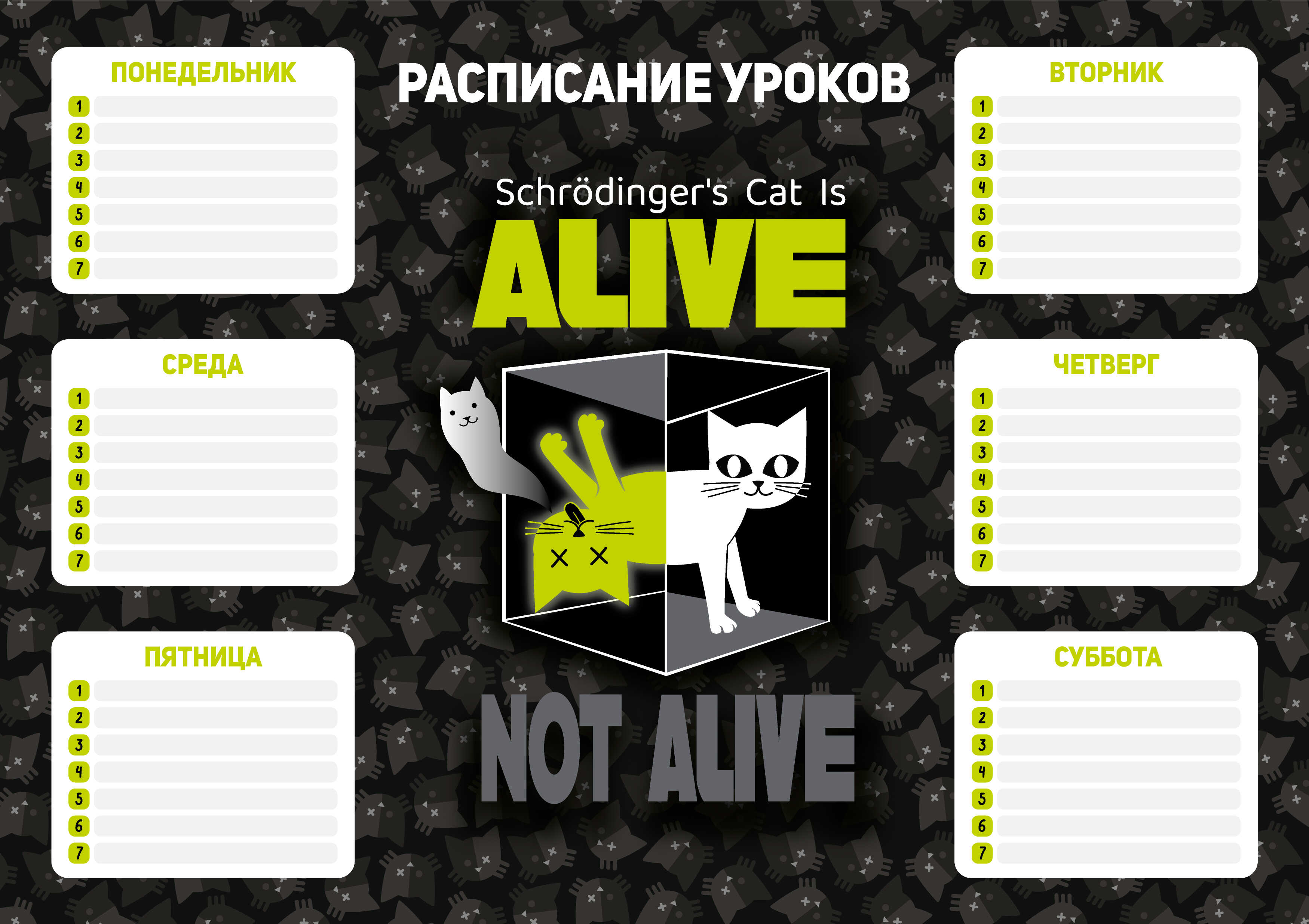 Stundenplan - Wissenschaftlicher Kater