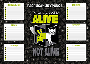 Class Schedule - Scientific Cat
