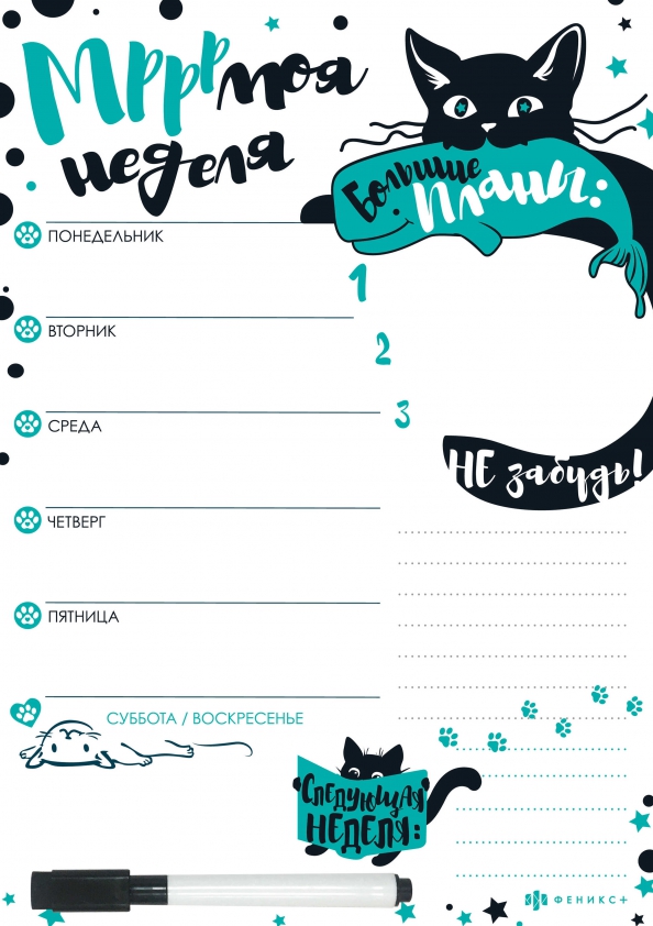 Magnetic Planning - Black Cat