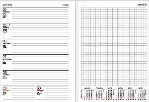 Planner - QUADRO 2025, gray