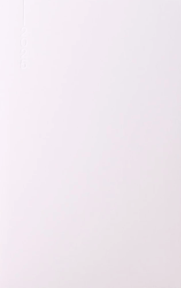 Daily Planner - QUADRO 2025, beige