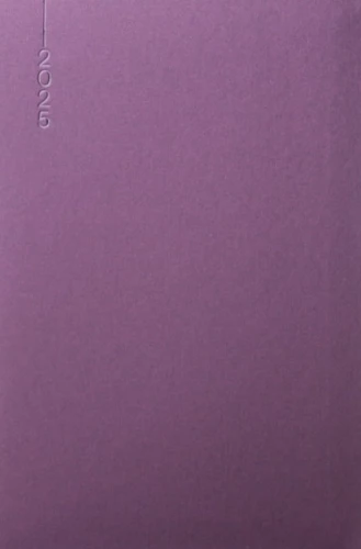 Daily Planner - QUADRO 2025, purple