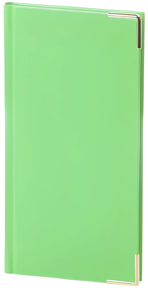 Planner - Lady 2025, light green