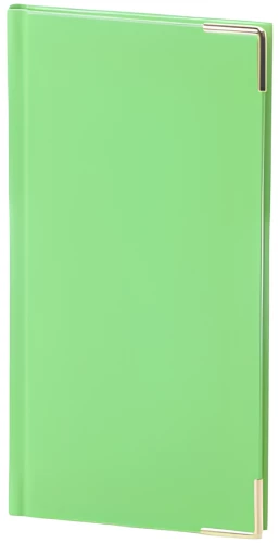 Planner - Lady 2025, light green