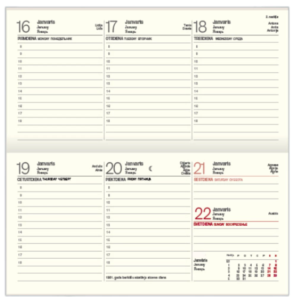 Planner - Lady 2025, light green