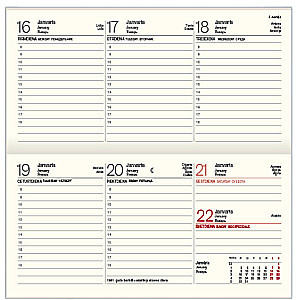 Planner - Lady 2025, light green