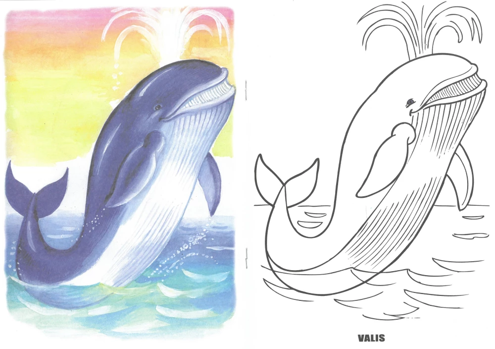 Coloring Book - Sea Inhabitants
