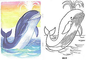 Coloring Book - Sea Inhabitants