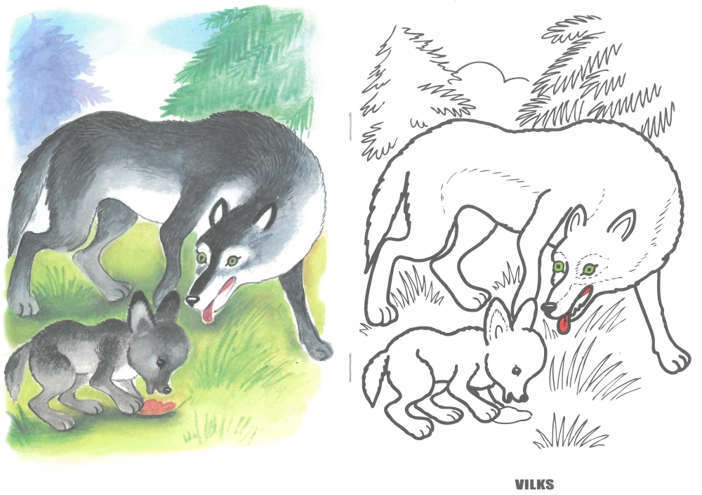 Coloring Book - Wild Animals