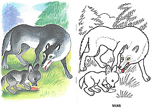 Coloring Book - Wild Animals