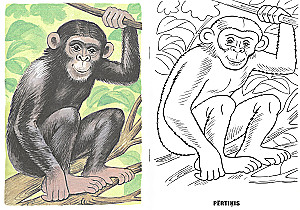 Coloring Book - Animals of Hot Countries