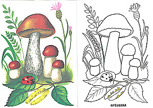 Coloring Book - Mushrooms