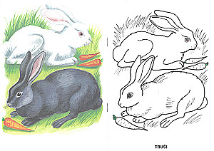 Coloring book - Pets