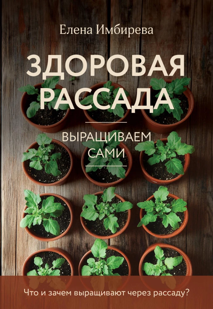Healthy Seedlings. Growing Them Yourself