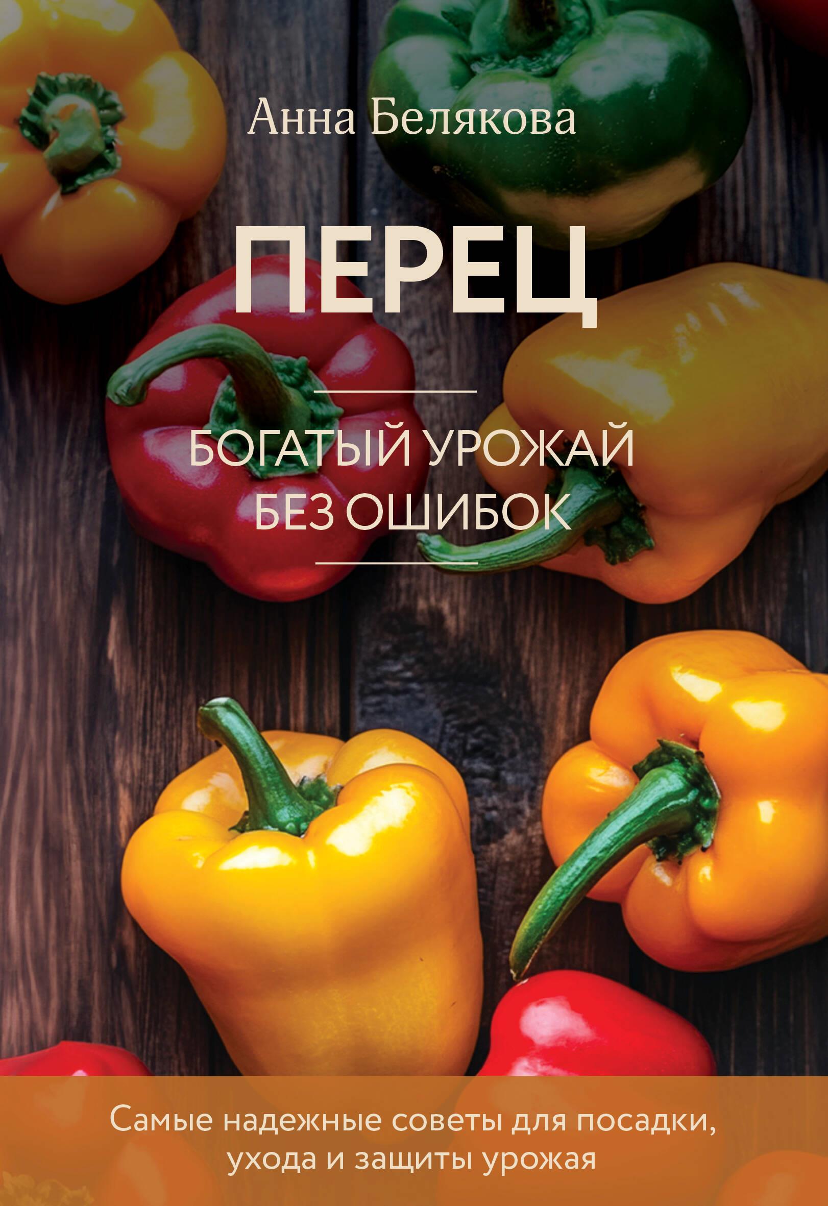 Paprika. Gausus derlius be klaidų