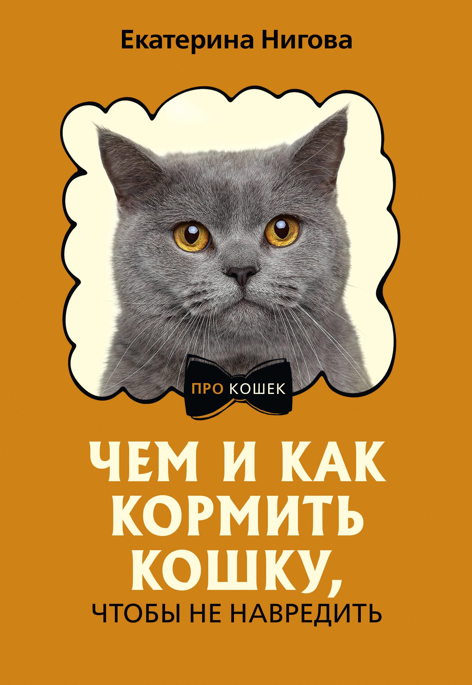 Kuo ir kaip šerti katę, kad nepakenkti