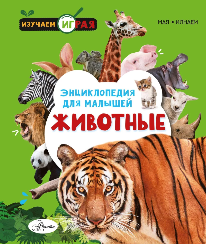 Animals