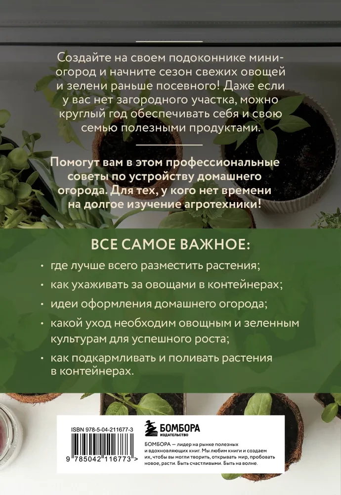 Mini-garden on the windowsill. Easy and simple (new design)