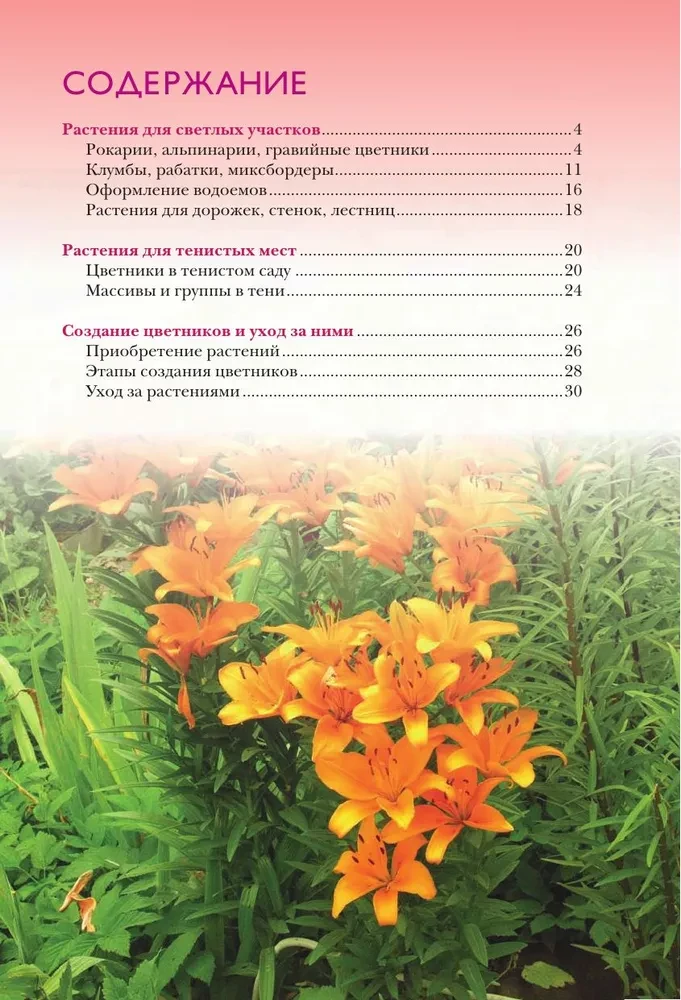 Лучшие цветы. Сажаем на солнце и в тени