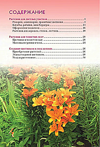 Лучшие цветы. Сажаем на солнце и в тени