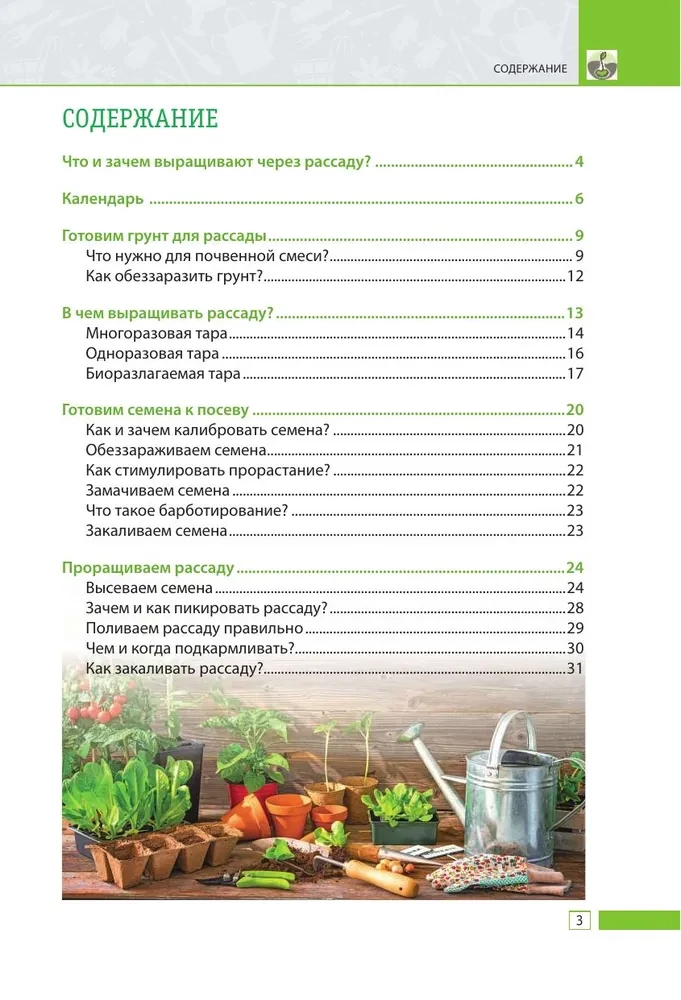 Healthy Seedlings. Growing Them Yourself