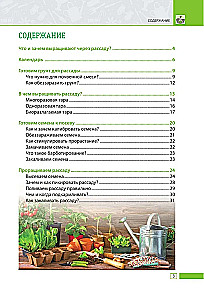 Healthy Seedlings. Growing Them Yourself